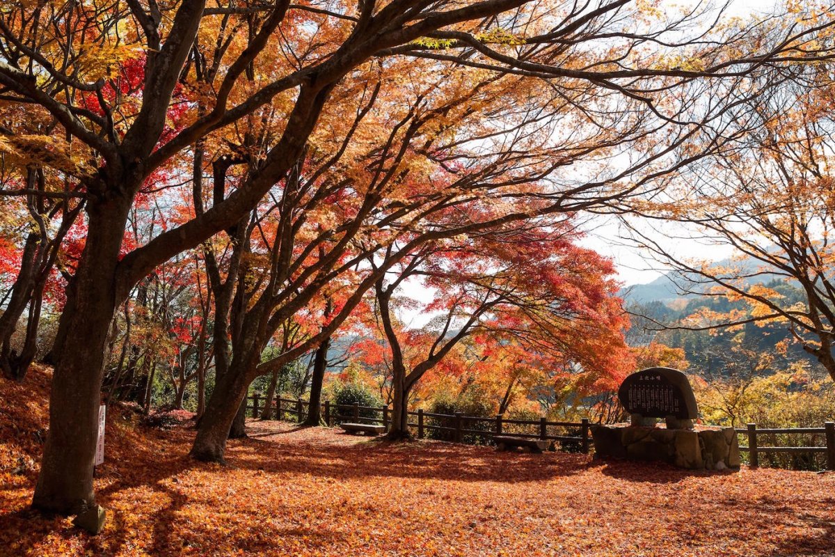 🏞️ 오제키산 공원(오제키야마 코엔) 이미지 4